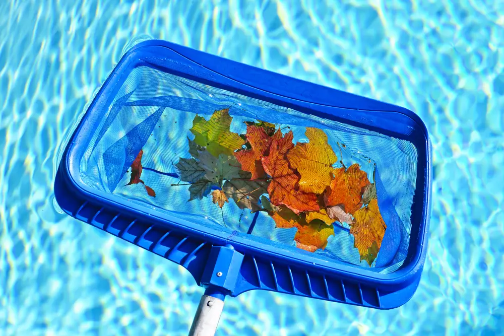 Pool Cleaning - 3